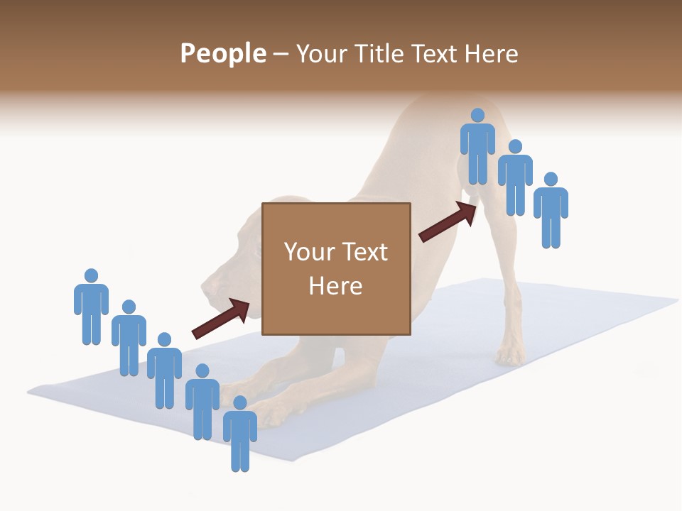 Play Bow Gold Pedigree PowerPoint Template