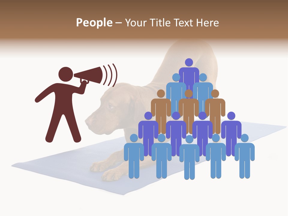 Play Bow Gold Pedigree PowerPoint Template