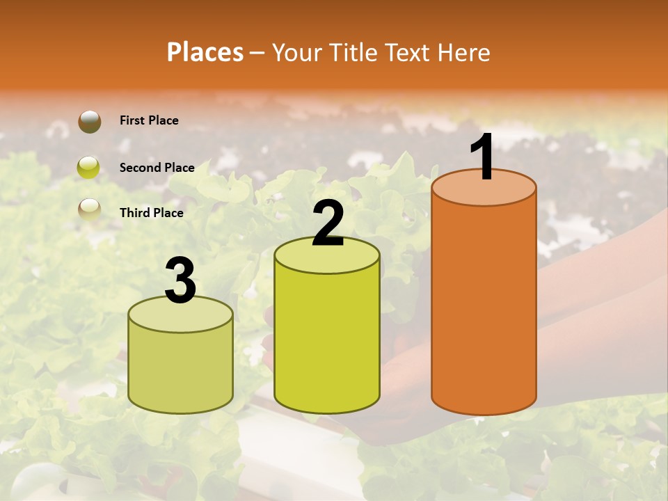 A Person Holding A Small House Plant In Their Hands PowerPoint Template