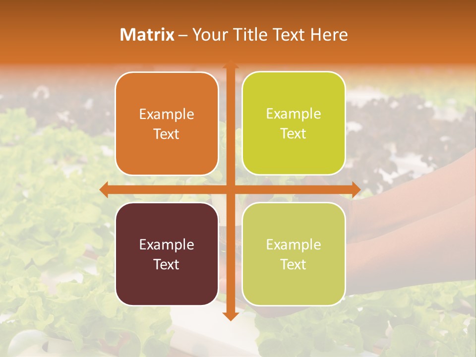 A Person Holding A Small House Plant In Their Hands PowerPoint Template