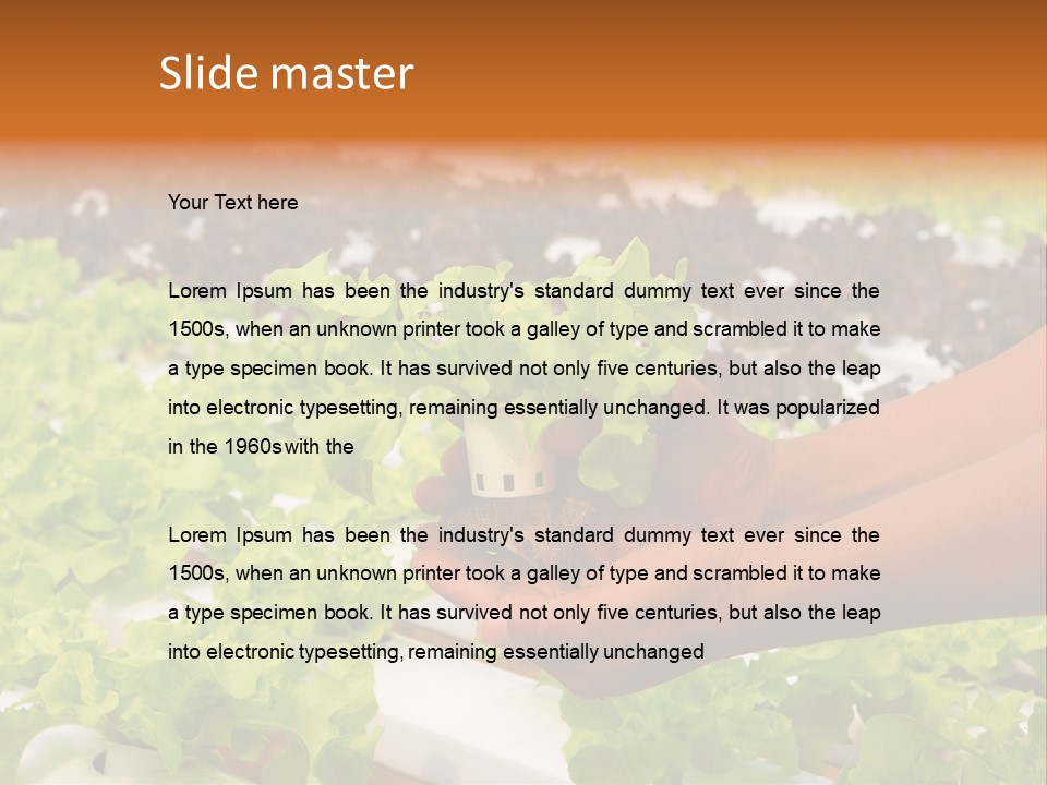 A Person Holding A Small House Plant In Their Hands PowerPoint Template