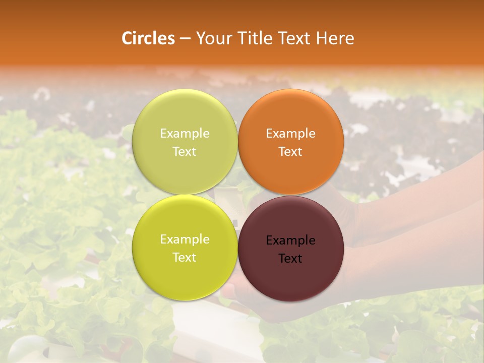 A Person Holding A Small House Plant In Their Hands PowerPoint Template