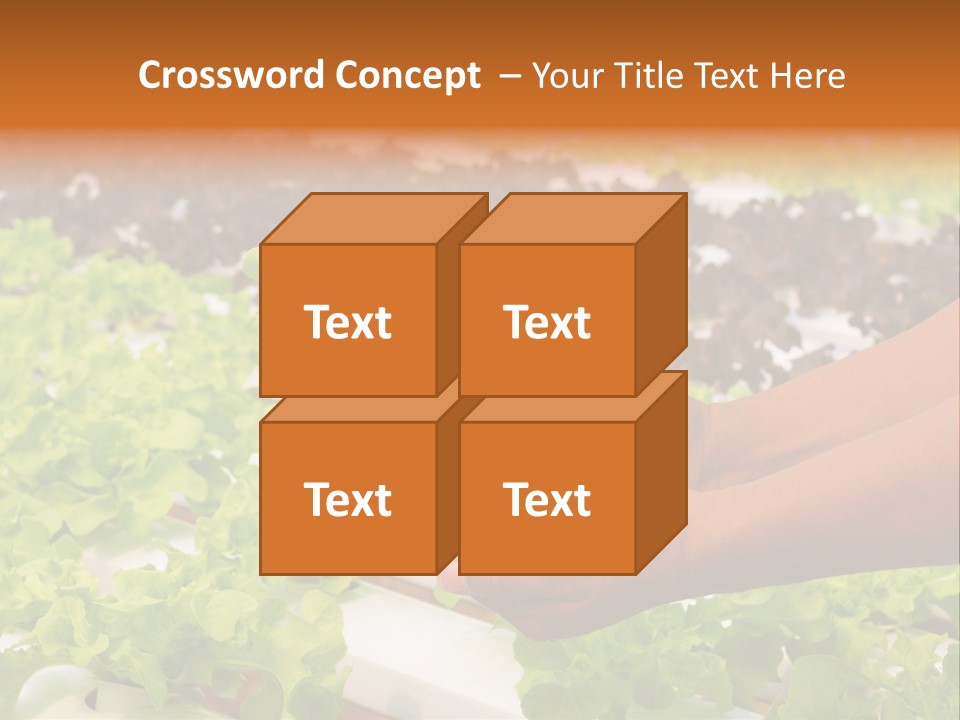 A Person Holding A Small House Plant In Their Hands PowerPoint Template