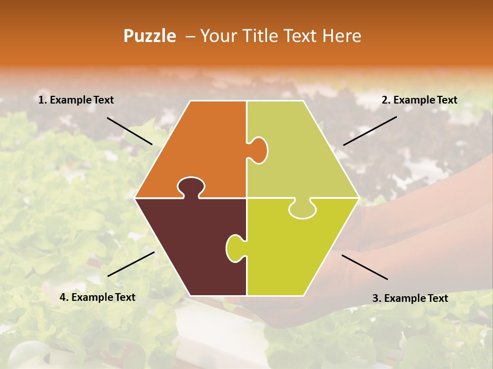 A Person Holding A Small House Plant In Their Hands PowerPoint Template