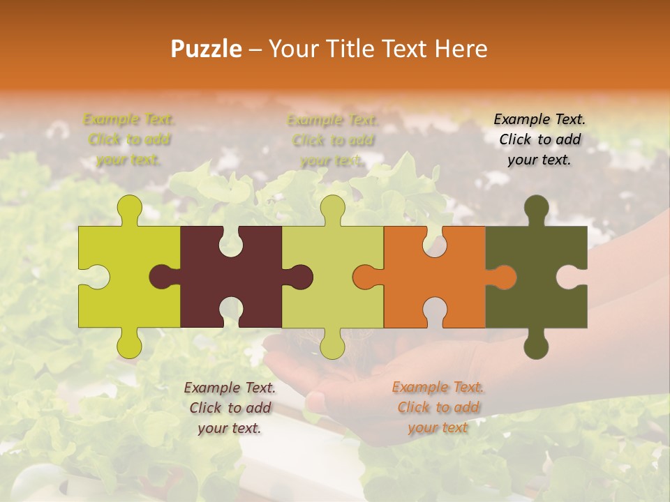 A Person Holding A Small House Plant In Their Hands PowerPoint Template