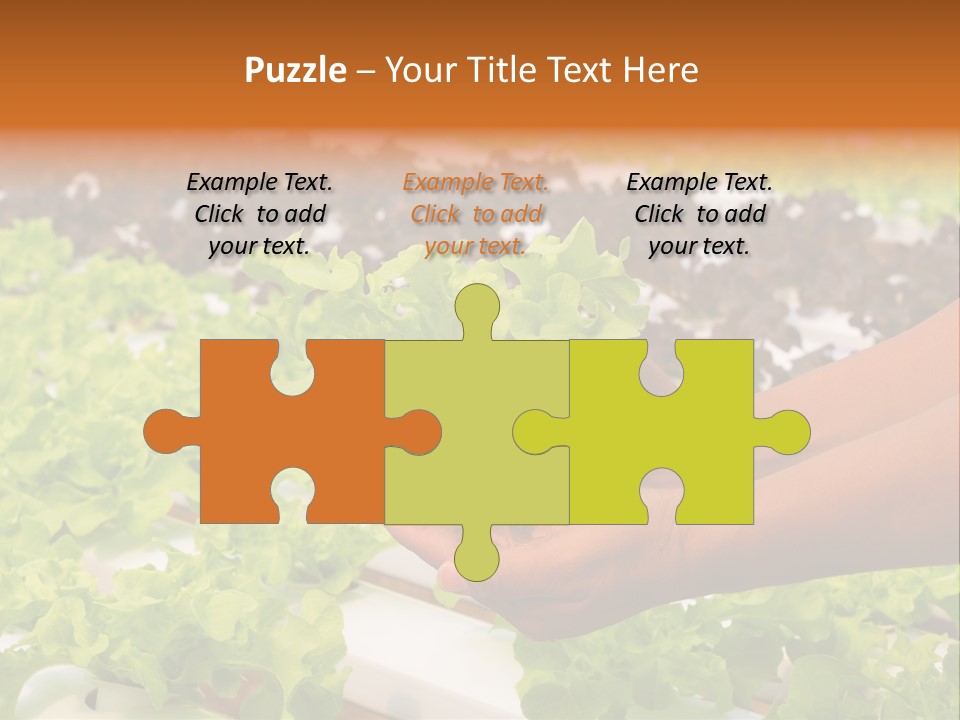 A Person Holding A Small House Plant In Their Hands PowerPoint Template