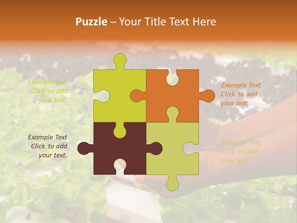 A Person Holding A Small House Plant In Their Hands PowerPoint Template