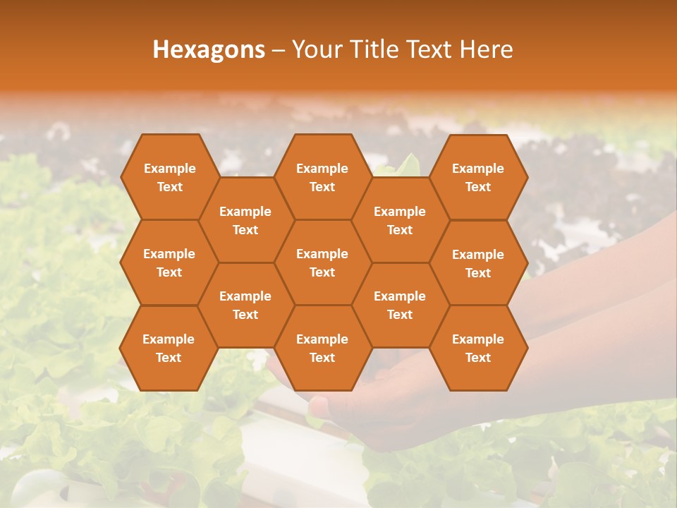 A Person Holding A Small House Plant In Their Hands PowerPoint Template