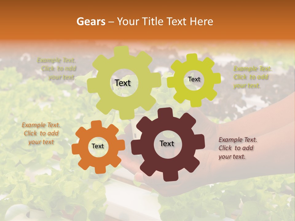 A Person Holding A Small House Plant In Their Hands PowerPoint Template