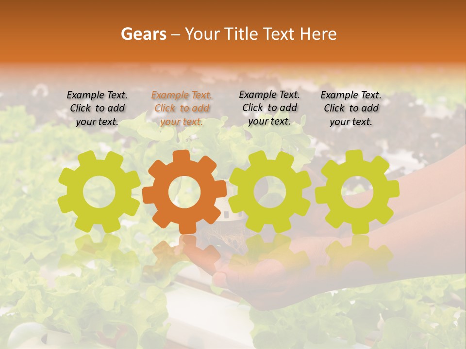 A Person Holding A Small House Plant In Their Hands PowerPoint Template