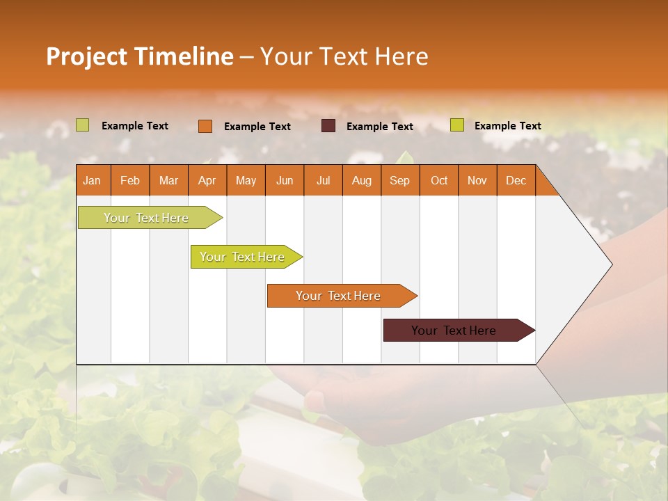 A Person Holding A Small House Plant In Their Hands PowerPoint Template