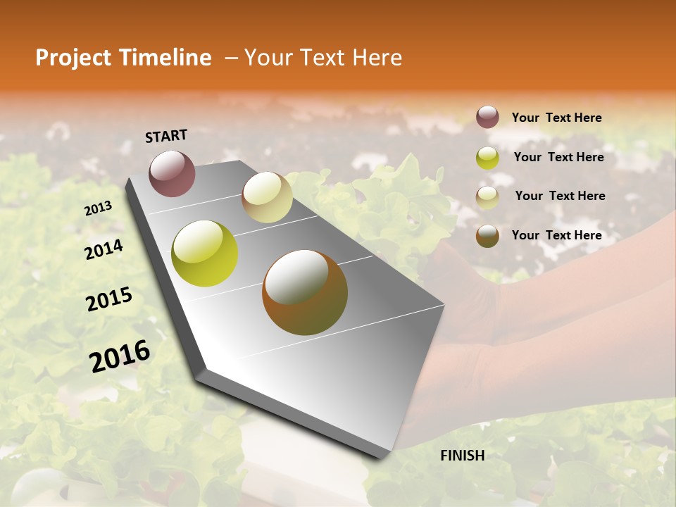 A Person Holding A Small House Plant In Their Hands PowerPoint Template