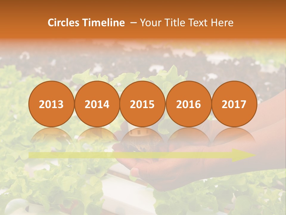 A Person Holding A Small House Plant In Their Hands PowerPoint Template