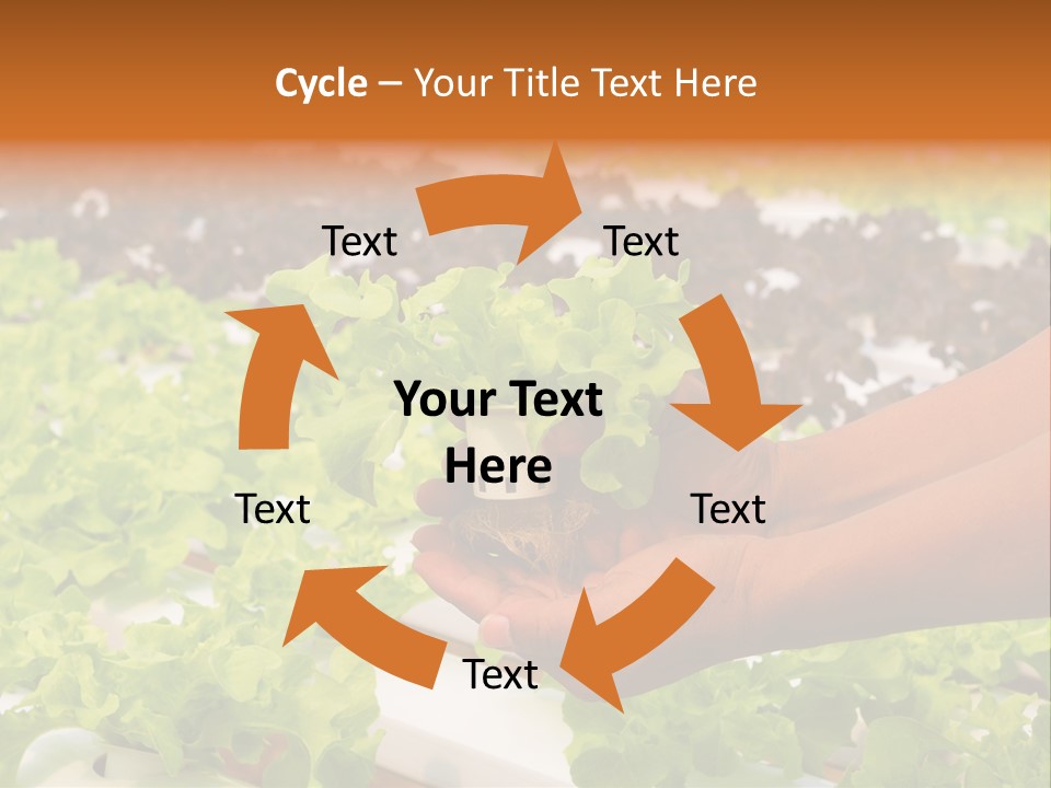 A Person Holding A Small House Plant In Their Hands PowerPoint Template