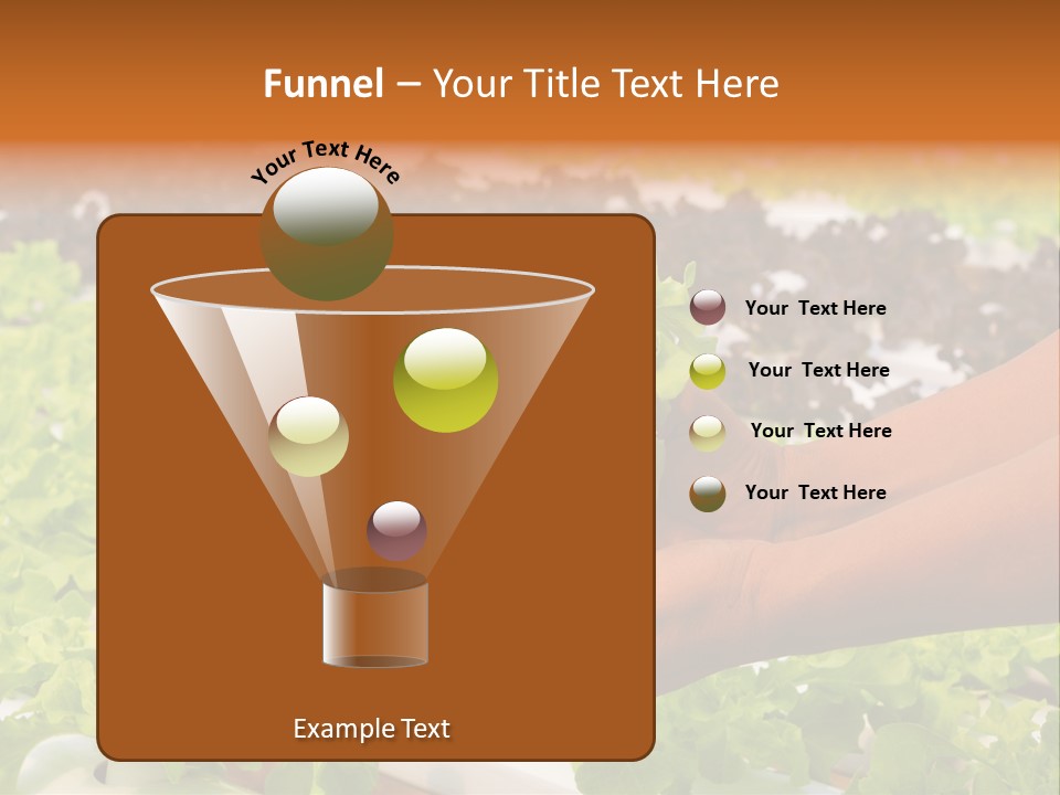 A Person Holding A Small House Plant In Their Hands PowerPoint Template