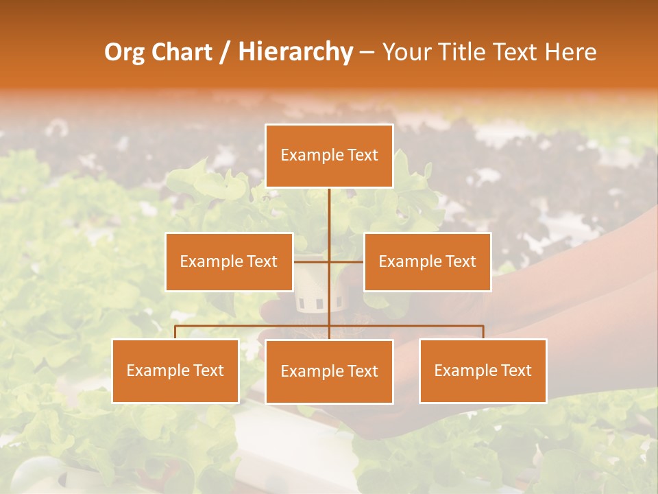 A Person Holding A Small House Plant In Their Hands PowerPoint Template