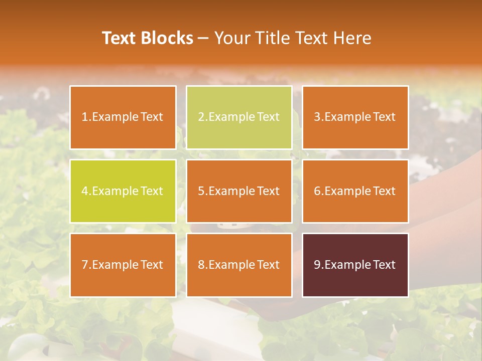 A Person Holding A Small House Plant In Their Hands PowerPoint Template