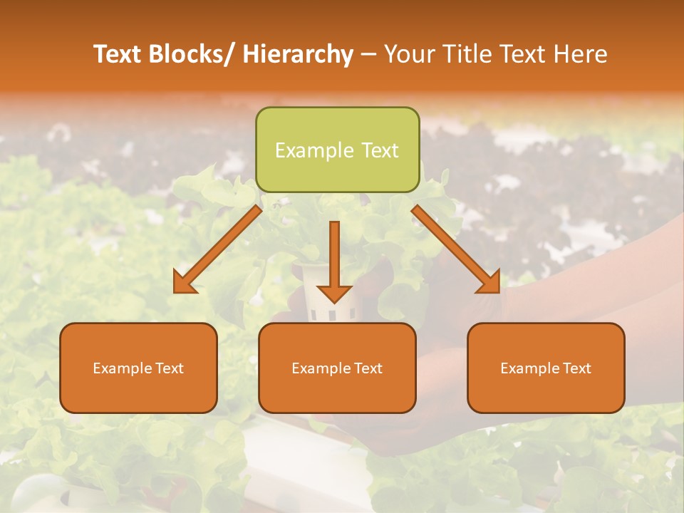 A Person Holding A Small House Plant In Their Hands PowerPoint Template