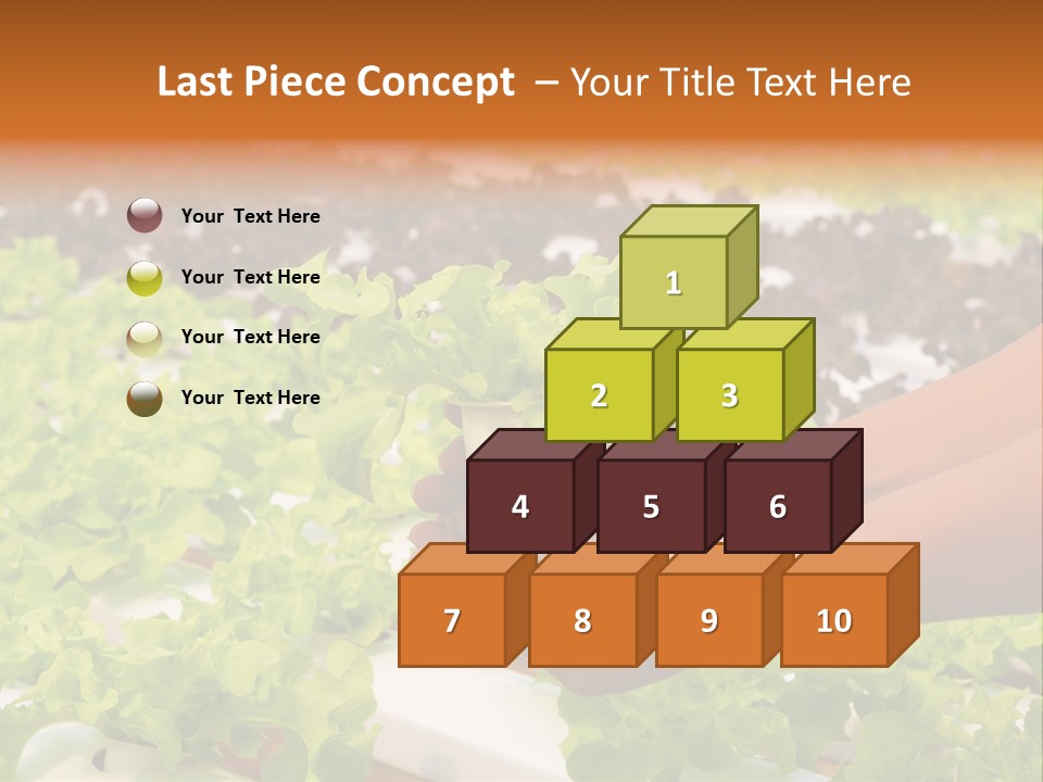 A Person Holding A Small House Plant In Their Hands PowerPoint Template