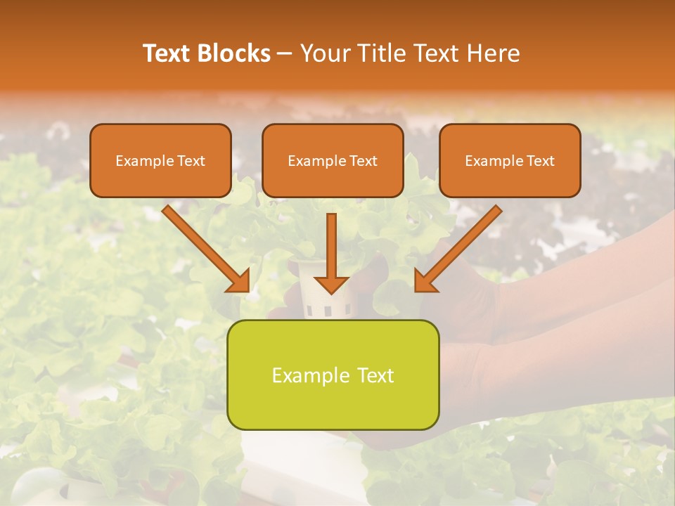 A Person Holding A Small House Plant In Their Hands PowerPoint Template