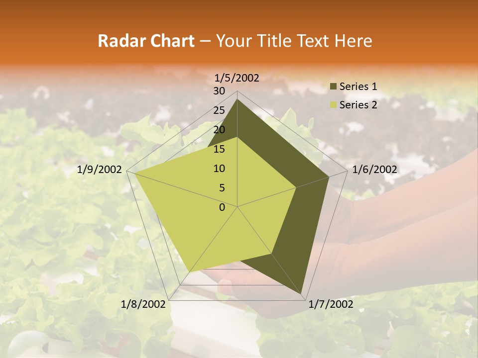 A Person Holding A Small House Plant In Their Hands PowerPoint Template