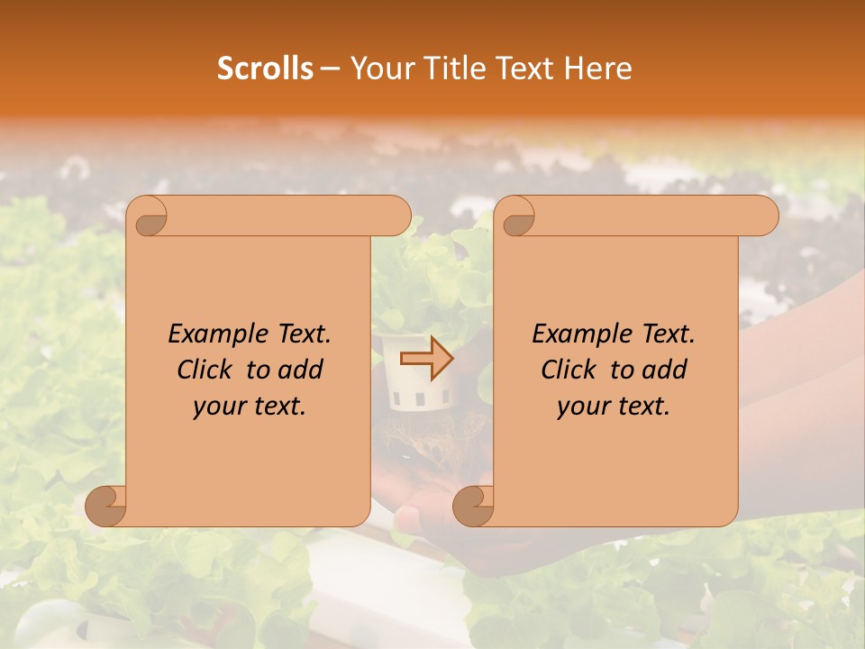 A Person Holding A Small House Plant In Their Hands PowerPoint Template