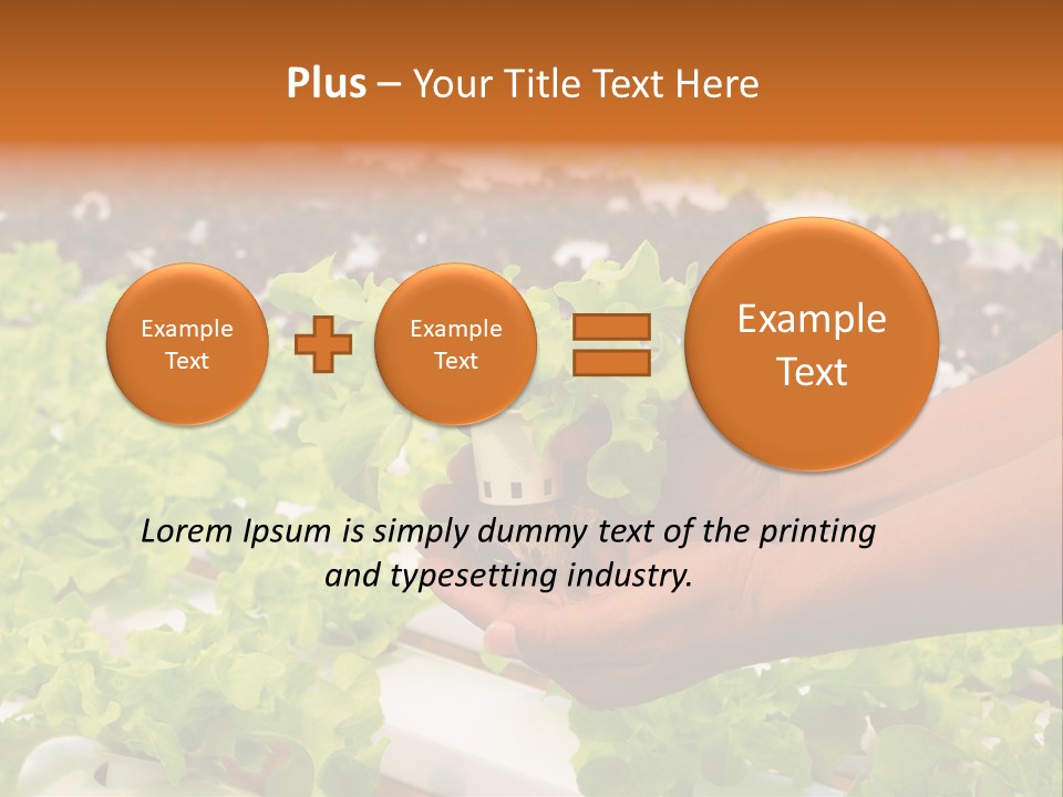 A Person Holding A Small House Plant In Their Hands PowerPoint Template