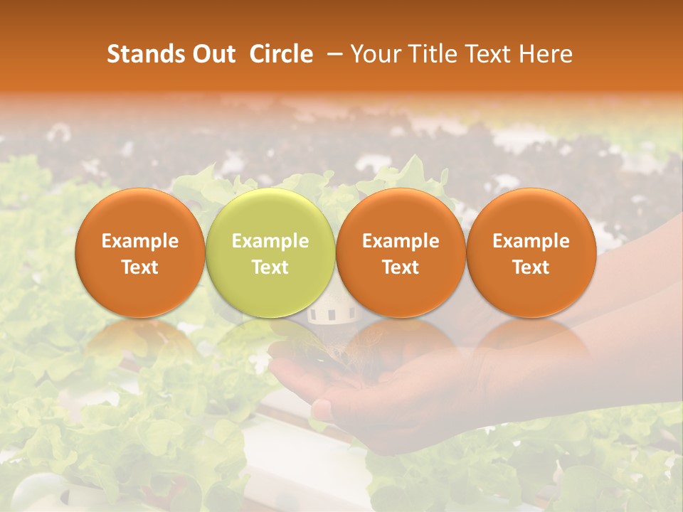 A Person Holding A Small House Plant In Their Hands PowerPoint Template