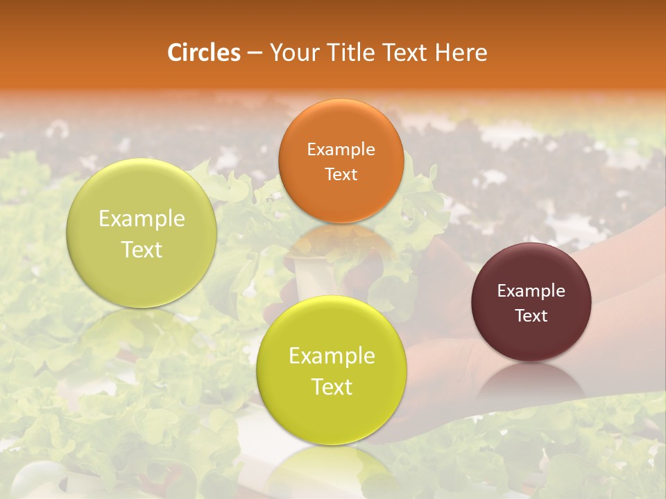 A Person Holding A Small House Plant In Their Hands PowerPoint Template