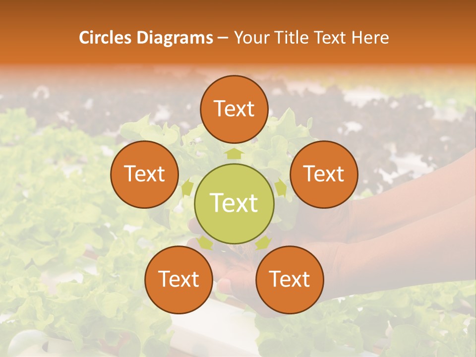 A Person Holding A Small House Plant In Their Hands PowerPoint Template