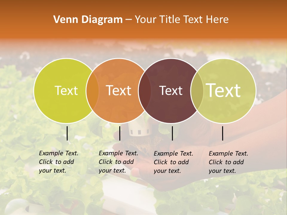 A Person Holding A Small House Plant In Their Hands PowerPoint Template