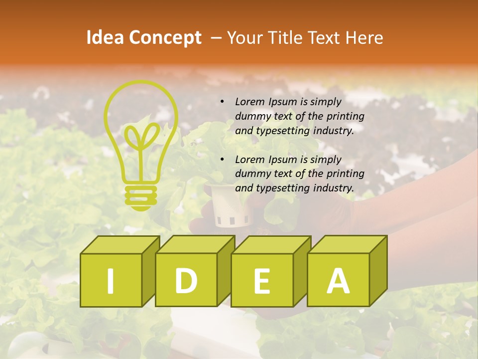 A Person Holding A Small House Plant In Their Hands PowerPoint Template