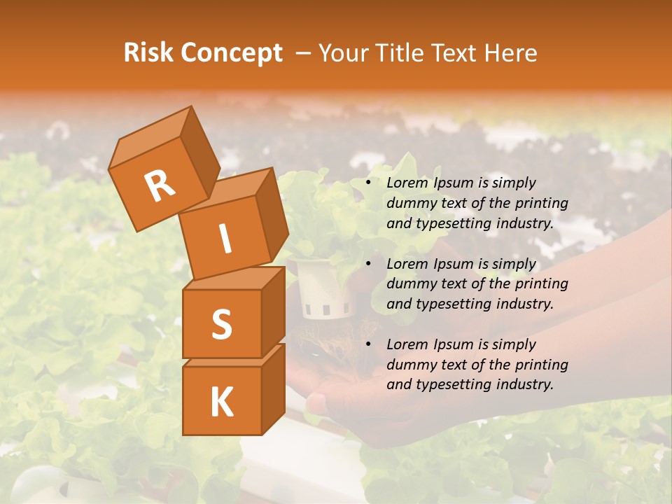 A Person Holding A Small House Plant In Their Hands PowerPoint Template