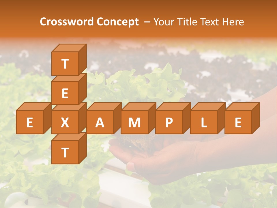 A Person Holding A Small House Plant In Their Hands PowerPoint Template