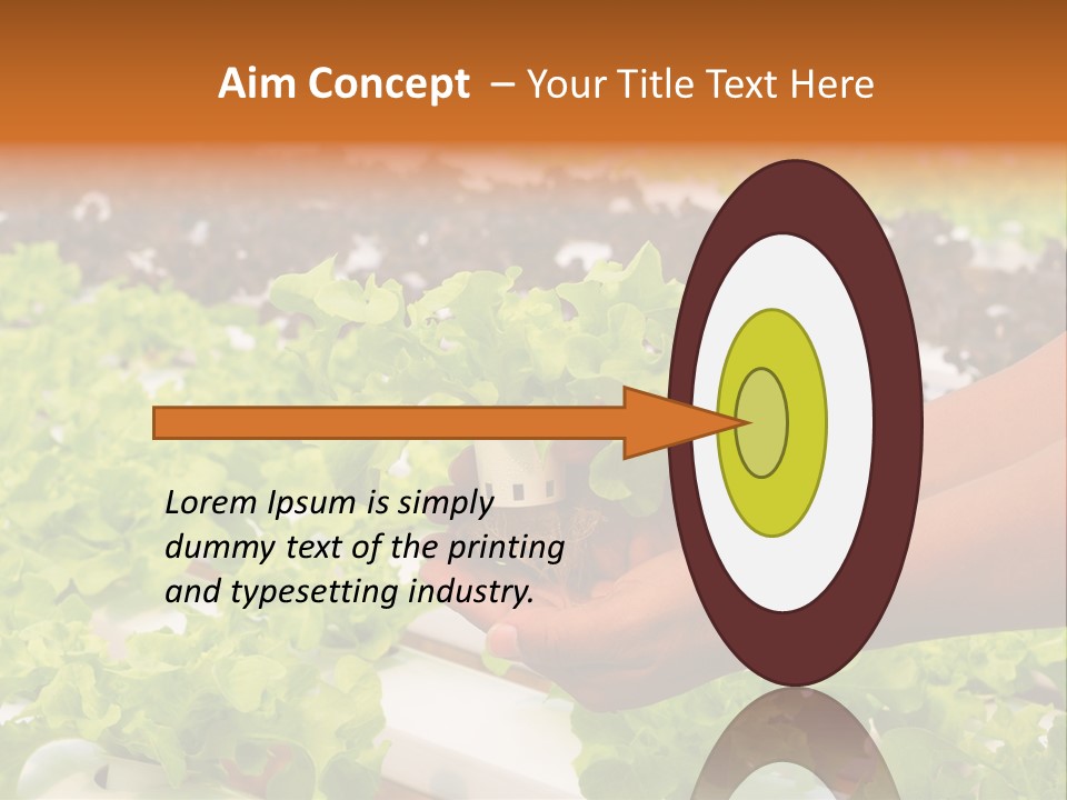 A Person Holding A Small House Plant In Their Hands PowerPoint Template