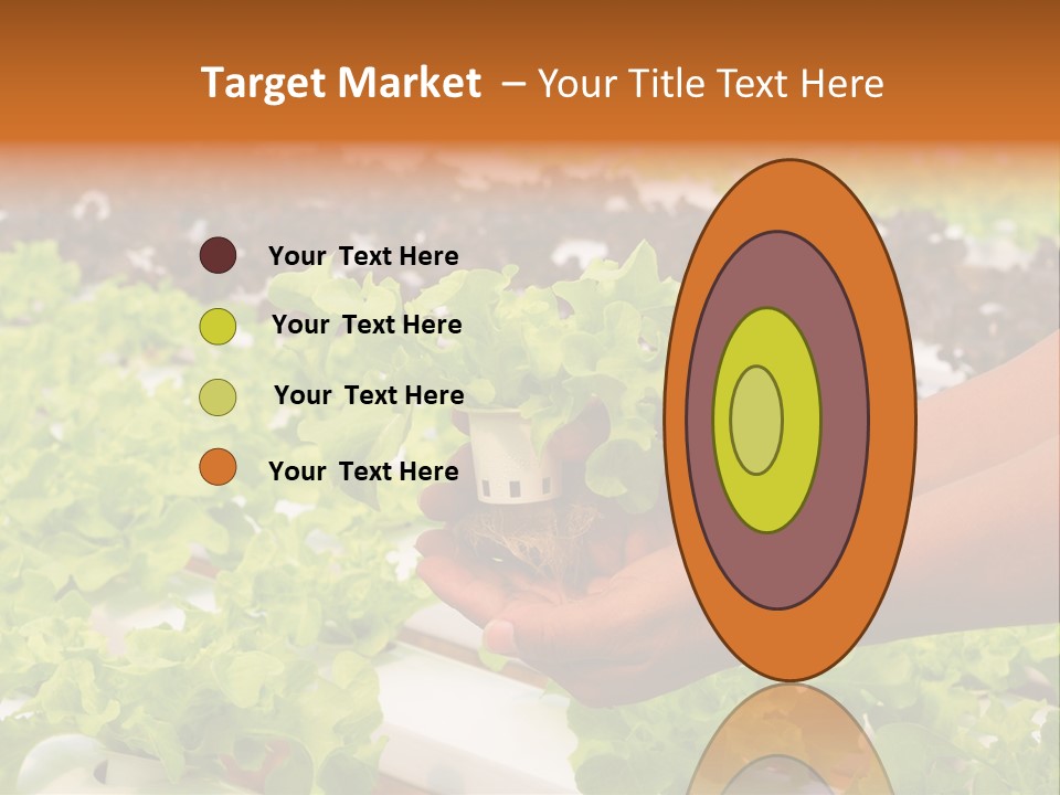 A Person Holding A Small House Plant In Their Hands PowerPoint Template