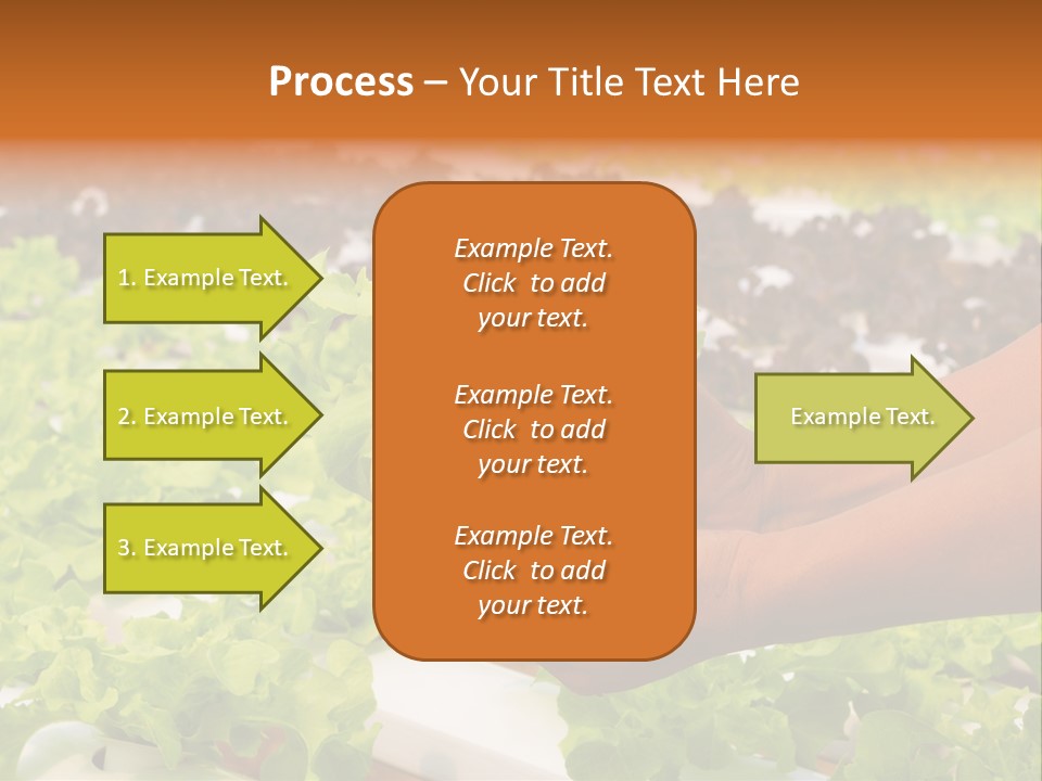 A Person Holding A Small House Plant In Their Hands PowerPoint Template