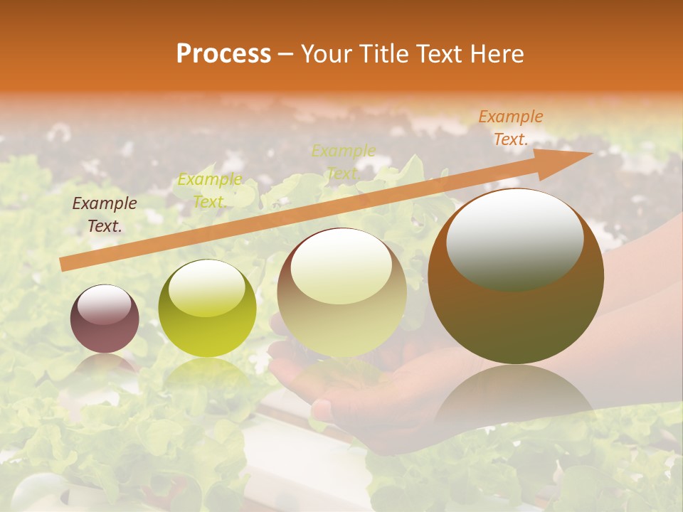 A Person Holding A Small House Plant In Their Hands PowerPoint Template