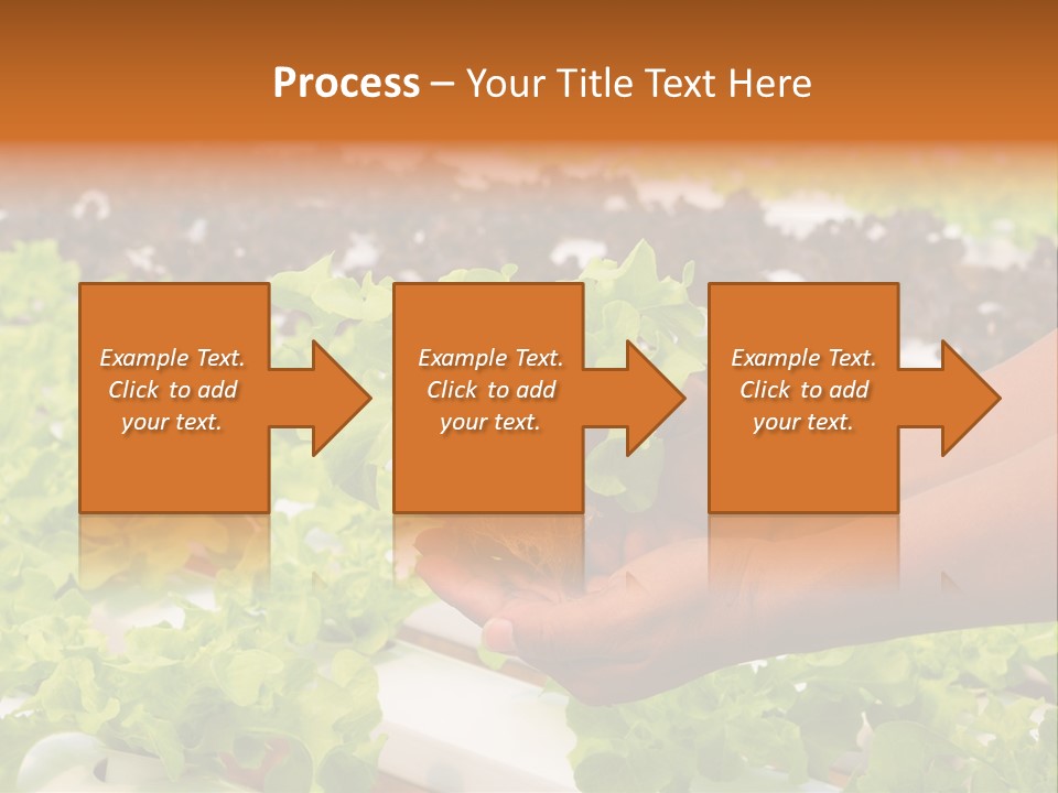 A Person Holding A Small House Plant In Their Hands PowerPoint Template