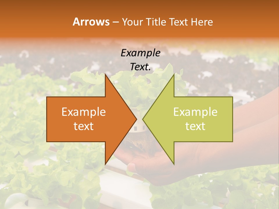 A Person Holding A Small House Plant In Their Hands PowerPoint Template