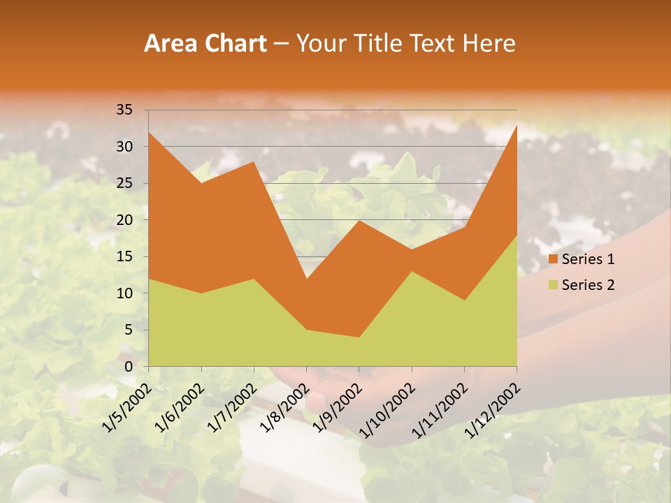 A Person Holding A Small House Plant In Their Hands PowerPoint Template
