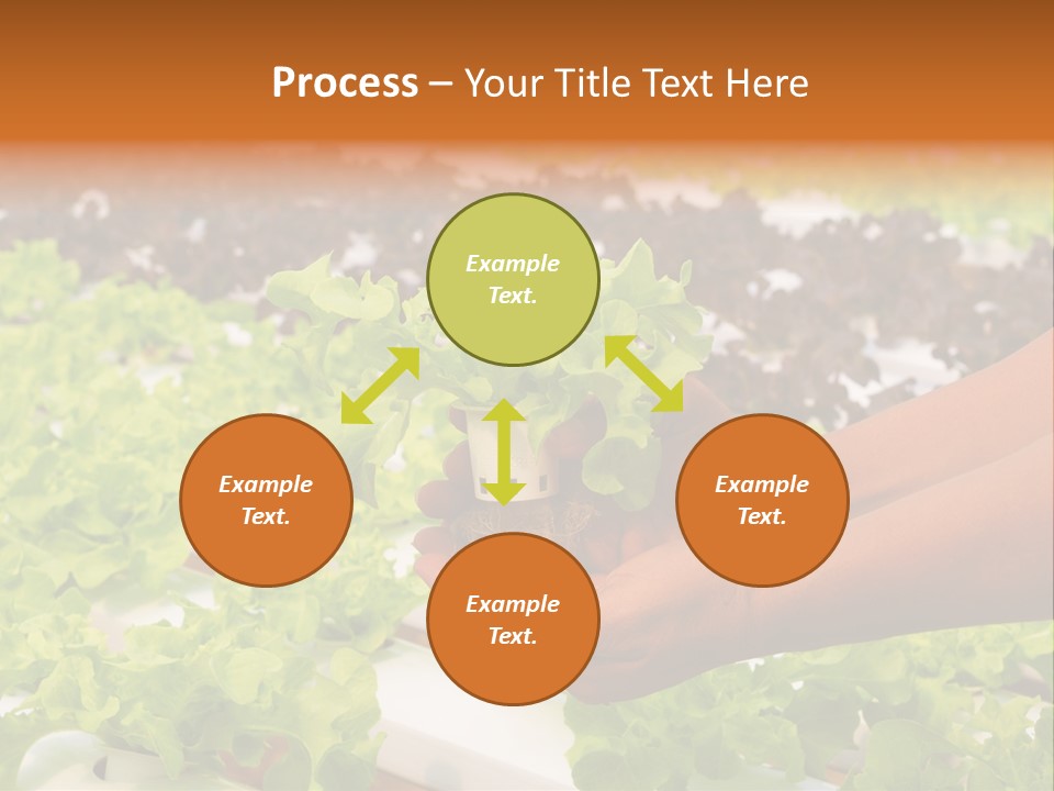 A Person Holding A Small House Plant In Their Hands PowerPoint Template