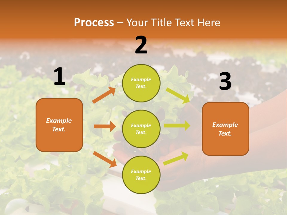 A Person Holding A Small House Plant In Their Hands PowerPoint Template