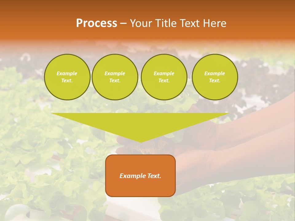 A Person Holding A Small House Plant In Their Hands PowerPoint Template