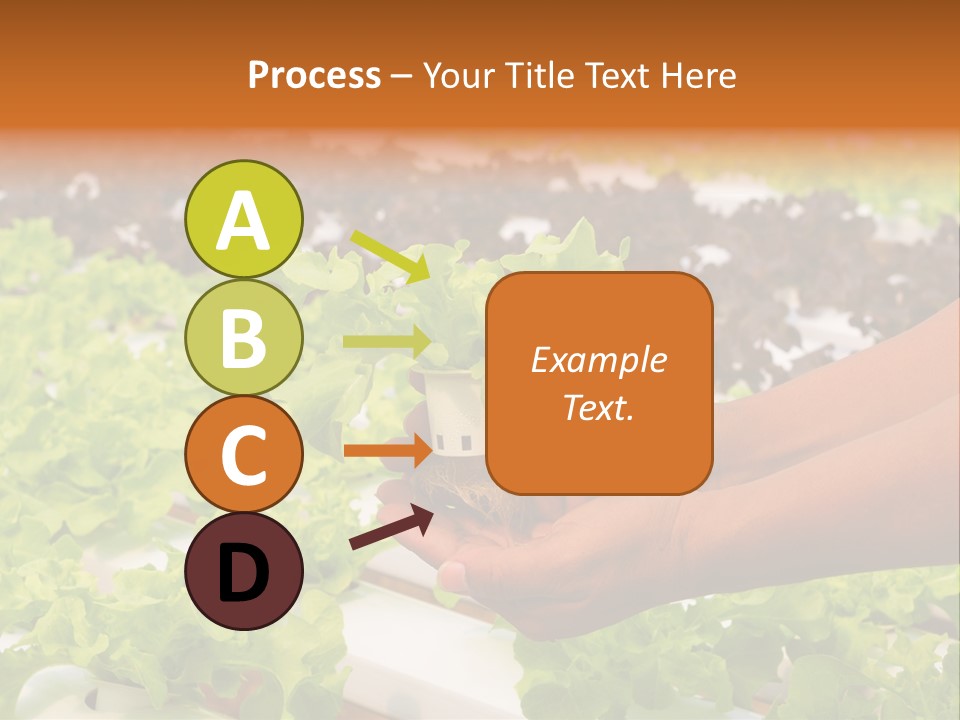 A Person Holding A Small House Plant In Their Hands PowerPoint Template