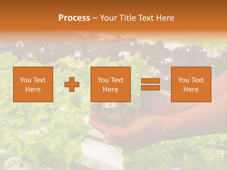 A Person Holding A Small House Plant In Their Hands PowerPoint Template