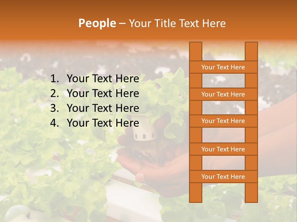 A Person Holding A Small House Plant In Their Hands PowerPoint Template