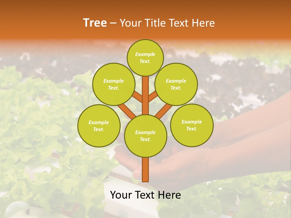 A Person Holding A Small House Plant In Their Hands PowerPoint Template