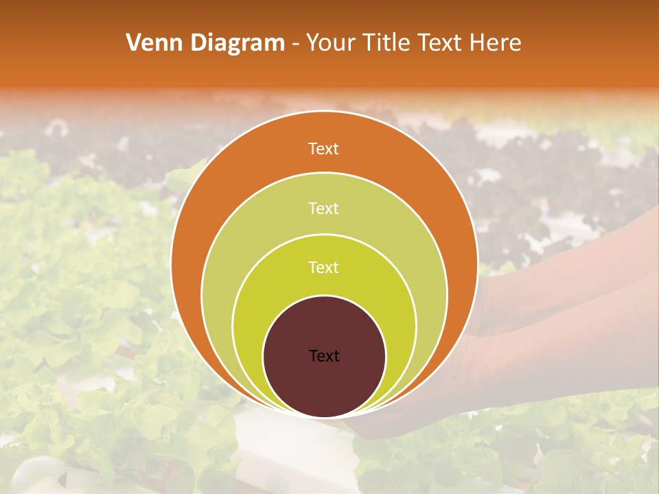 A Person Holding A Small House Plant In Their Hands PowerPoint Template