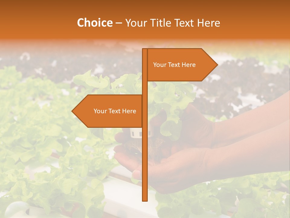 A Person Holding A Small House Plant In Their Hands PowerPoint Template